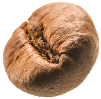 Chicco di Caffè